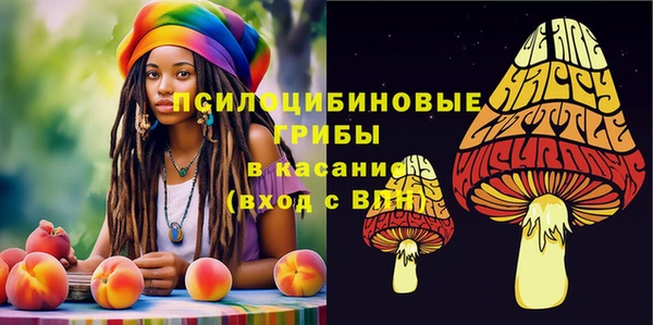 твердый Алексин