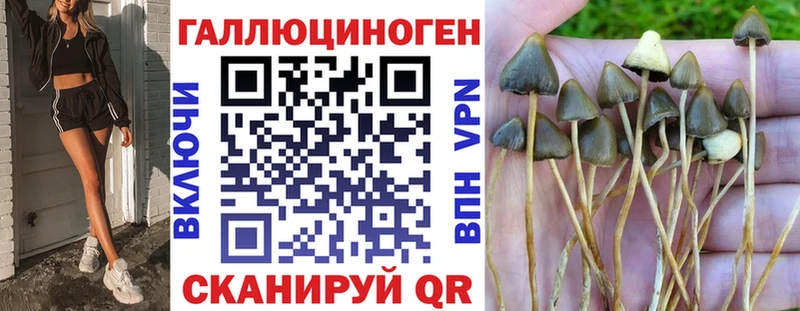 Псилоцибиновые грибы прущие грибы  это Telegram  кракен маркетплейс  Плавск  наркотики 